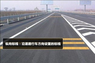 教你認道路交通標志線
