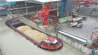 南方路機全環保商品混凝土攪拌設備在新業管樁道路設施項目中的應用